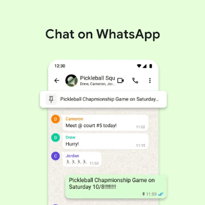 WhatsApp Chat Preview